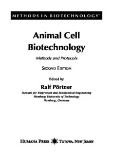 Download Animal Cell Culture: A Practical Approach 3rd Edition PDF