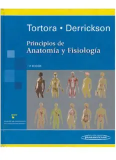 Download Principios De Anatomía Y Fisiología PDF By Gérard J. Tortora